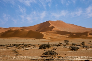 Duny v Sossusvlei